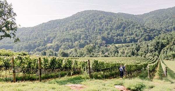 Early Mountain Vineyards
