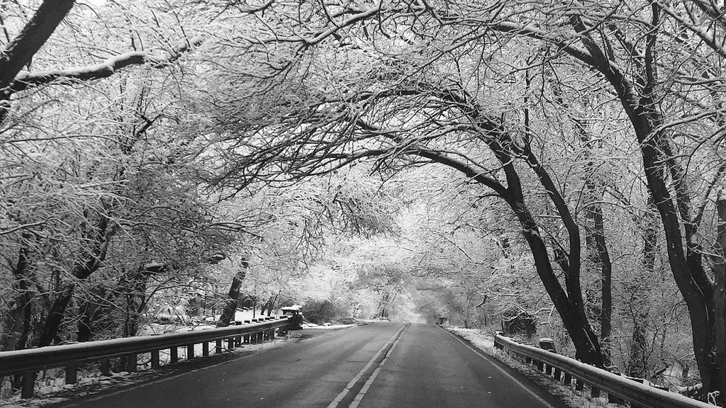 Wintry Road Scene