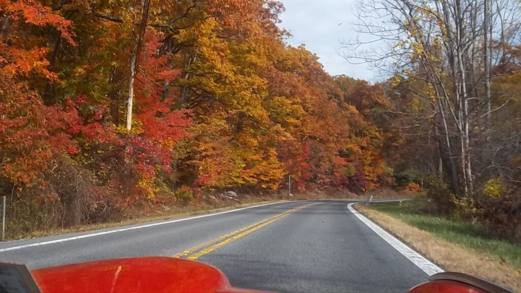 Driving through the Shenandoah Valley in the fall in a Triumph GT6