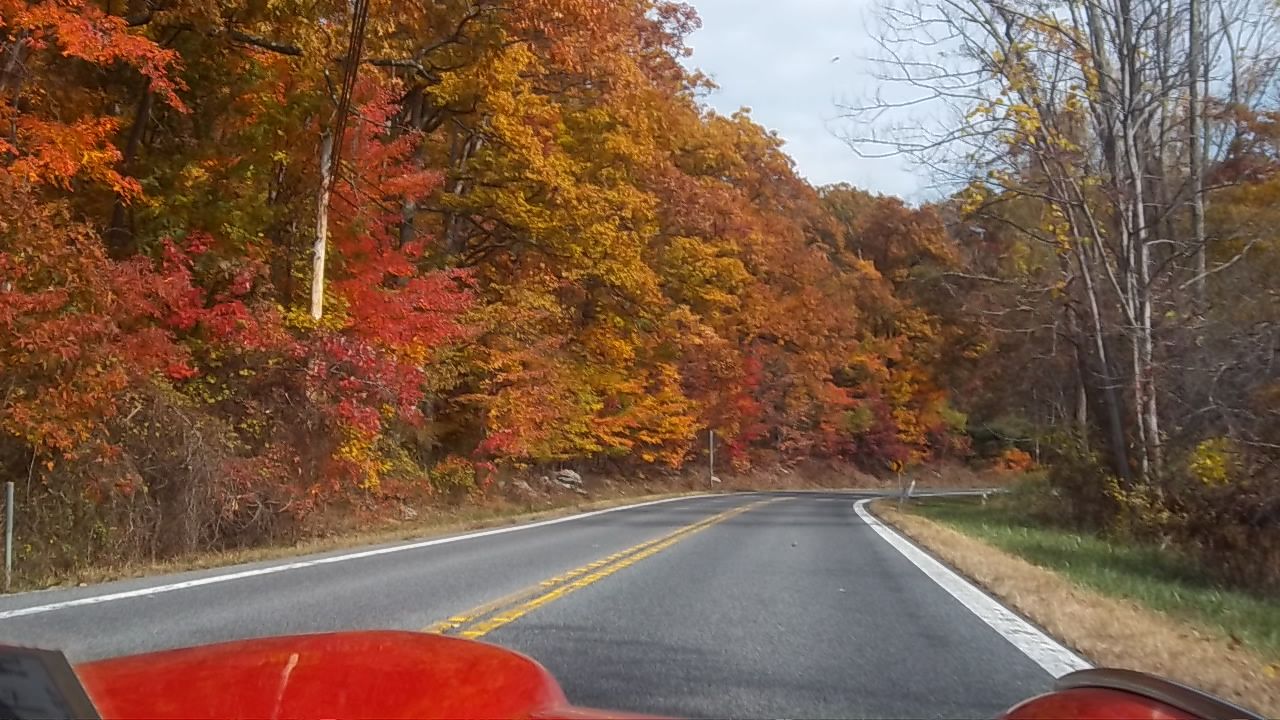Driving through the Shenandoah Valley in the fall in a Triumph GT6